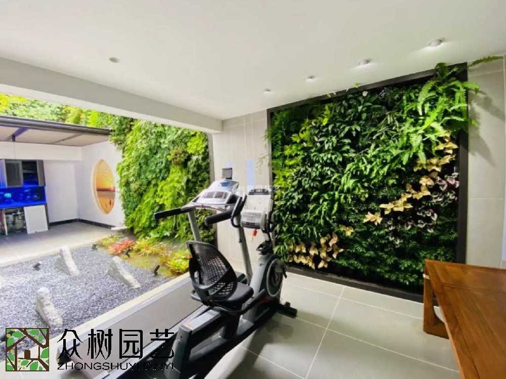 蘇州綠植租賃新風(fēng)尚：打造辦公室綠色生態(tài)，讓工作更舒心！
