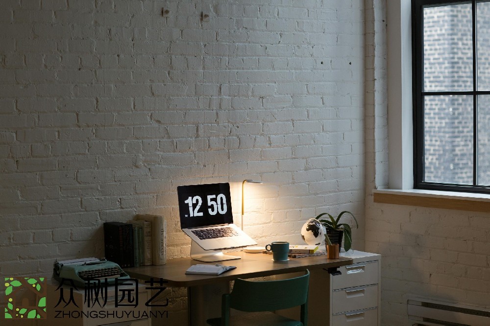 蘇州室內(nèi)綠植租擺費(fèi)用揭秘：預(yù)算、選擇和維護(hù)，一次性了解!